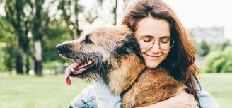 Jak opiekować się starym psem? 11 rad behawiorystki