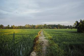 Pomysł na agroturystykę: jak zamieszkać na wsi i znaleźć źródło utrzymania?
