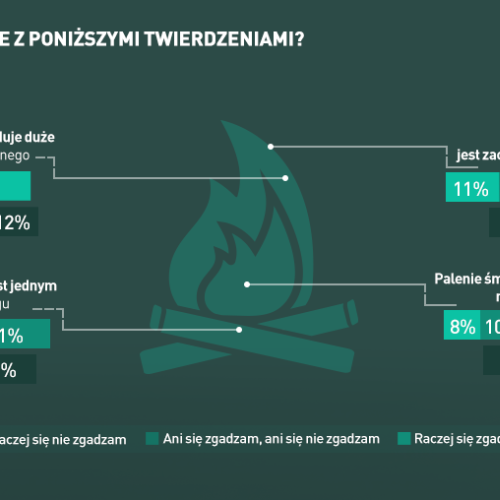 czym palić w kominku