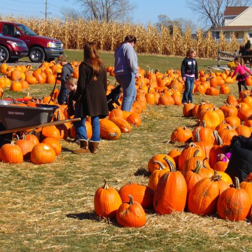 kiedy jest halloween