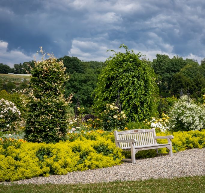 Kotlina Kłodzka Arboretum w Wojsławicach