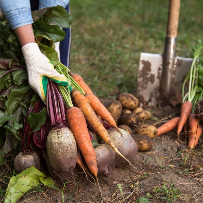 kalendarz biodynamiczny październik 2024