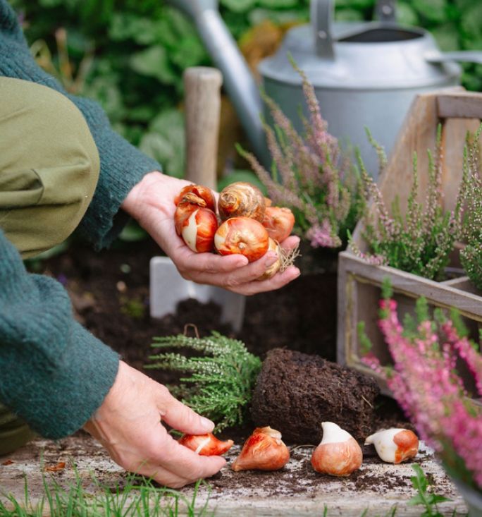 kalendarz biodynamiczny październik 2024