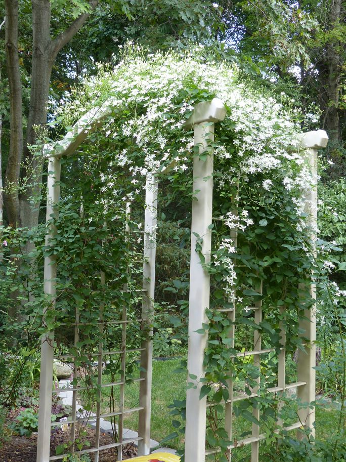 drewniana pergola