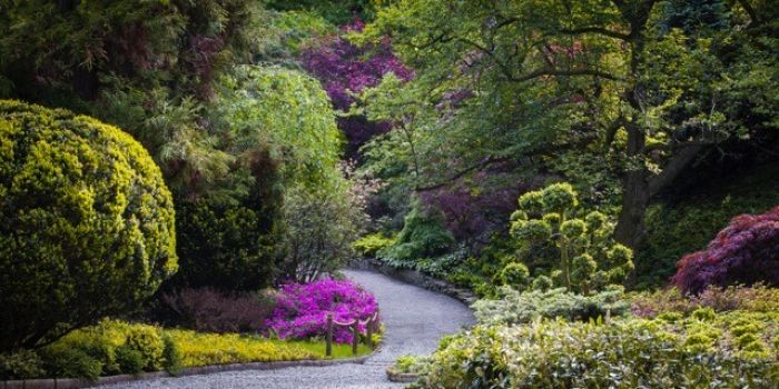 Otwarcie sezonu w Arboretum w Wojsławicach