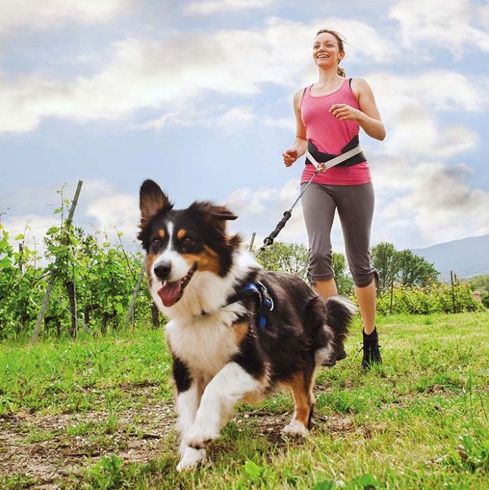 Jogging z psem - jak zacząć?