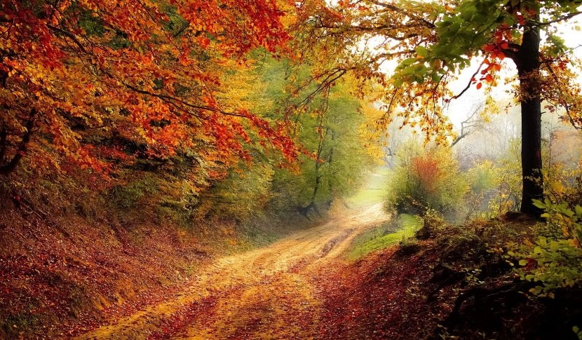 Pazdziernik Imieniny Obchodza Werandacountry Pl